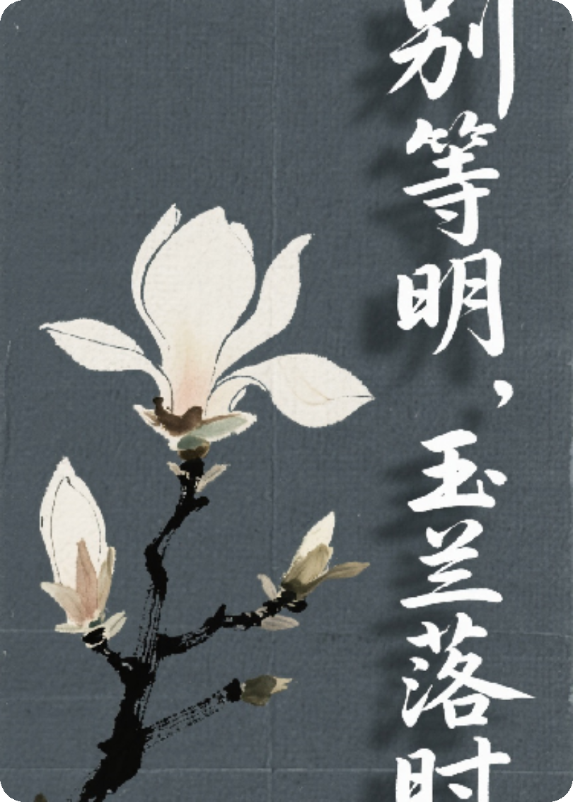 别等明天，玉兰落时