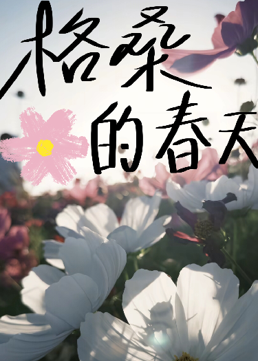 格桑花的春天