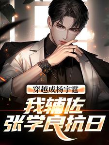 穿越成杨宇霆，我辅佐张学良抗日