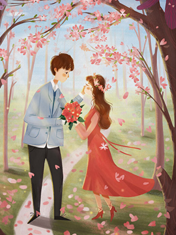 我成了前夫的离婚律师