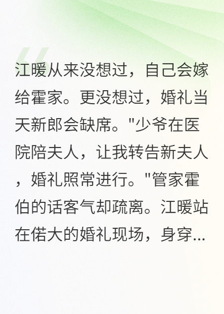 新婚夜新郎失踪，我却意外收获十岁继子的心