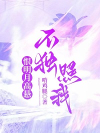 恨明月高悬不独照我