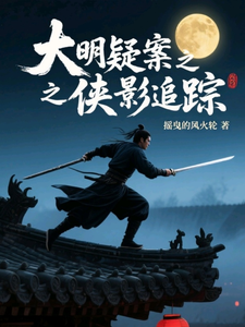 大明疑案之侠影追踪