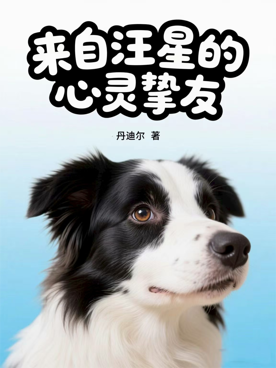 来自汪星的心灵挚友