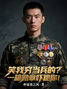 笑我穷当兵的？一箱勋章吓跪你！