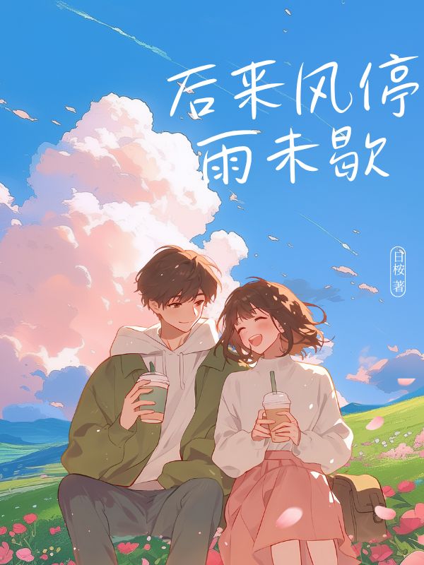 后来风停雨未歇