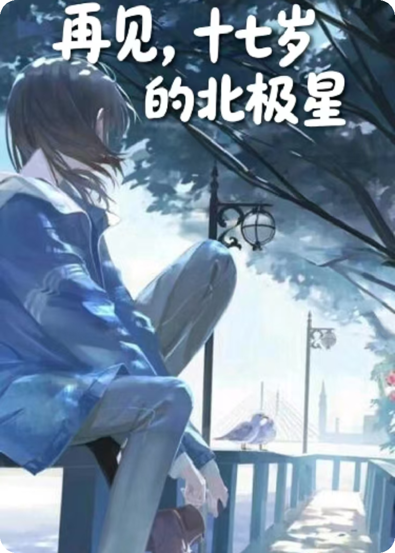 再见，十七岁的北极星