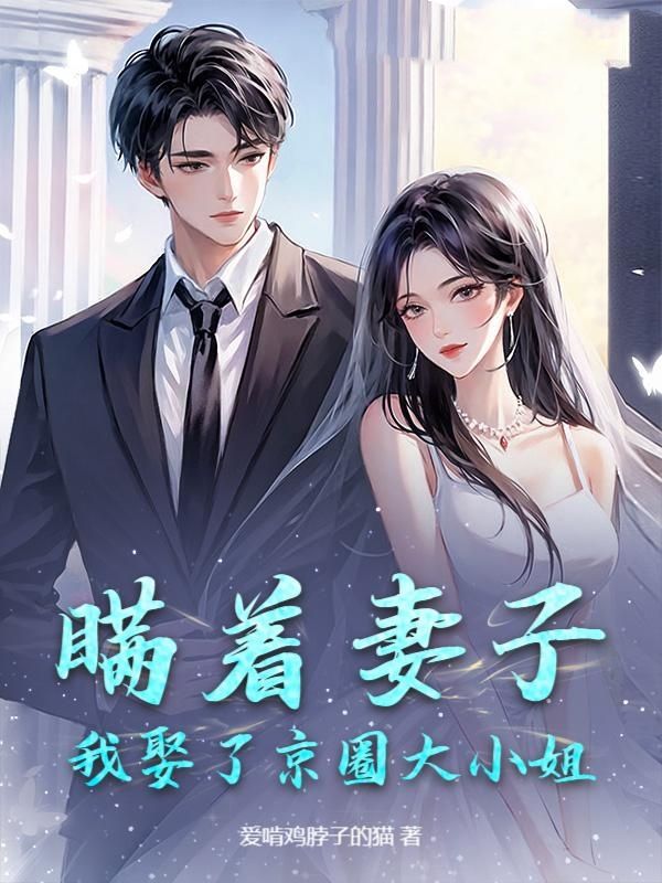 瞒着妻子，我娶了京圈大小姐