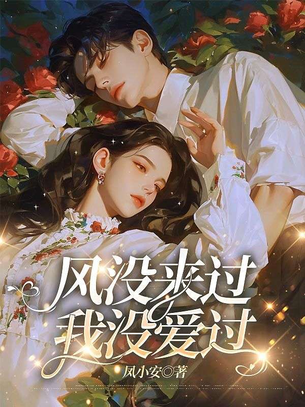 风没来过,我没爱过
