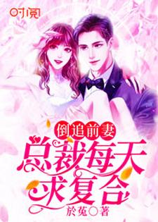 倒追前妻：总裁每天求复合