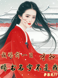 成婚前一日，才知婚书名字不是我