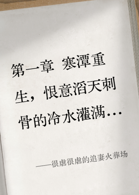 很虐很虐的追妻火葬场