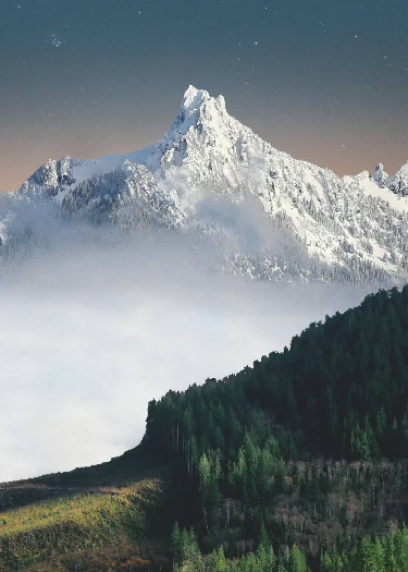 谁偷了我的二十六吨货？