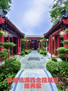 穿越情满四合院双系统养家