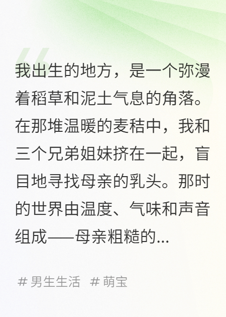 土狗的一生：陪伴与守护