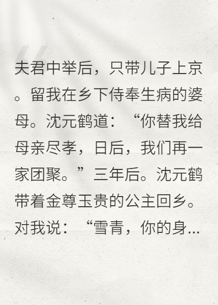 夫君娶公主后，我改嫁杀手