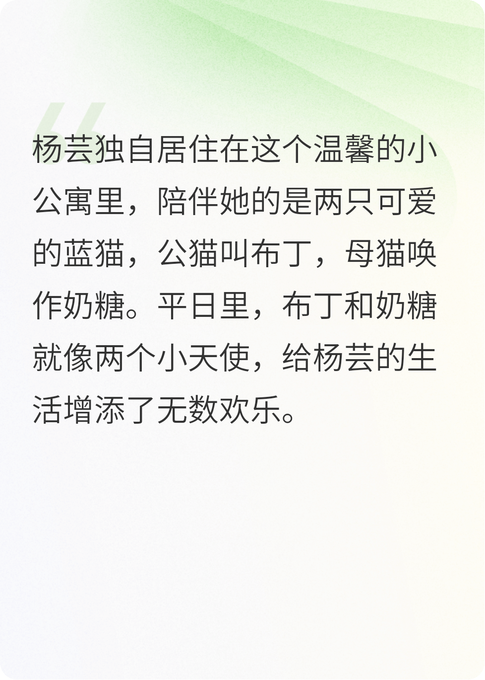 猫眼窥伺的诡影
