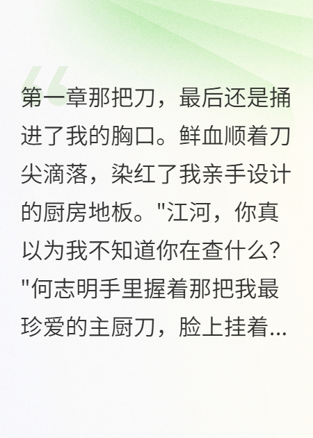 合伙人用我最爱的主厨刀捅死我