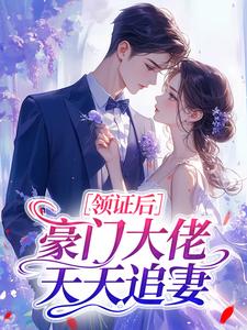 领证后，豪门大佬天天追妻