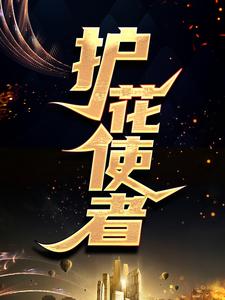护花使者