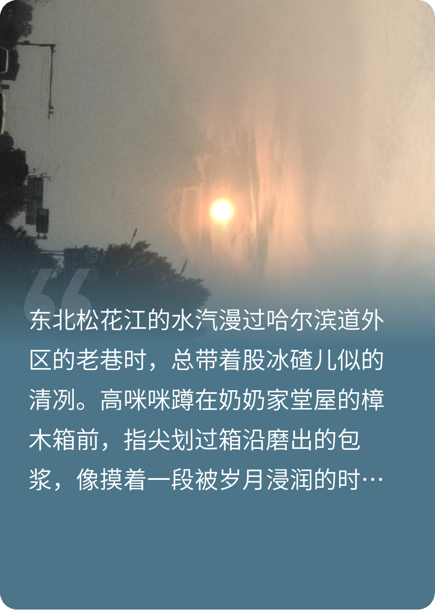 嘘，这是一个密语（高咪咪的人生征途）