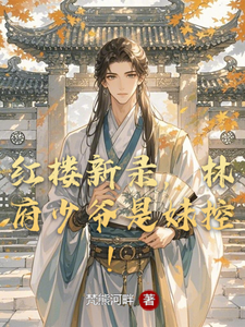 红楼新录，林府少爷是妹控！