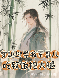 穿越迎娶将军哥儿，吃软饭抱大腿