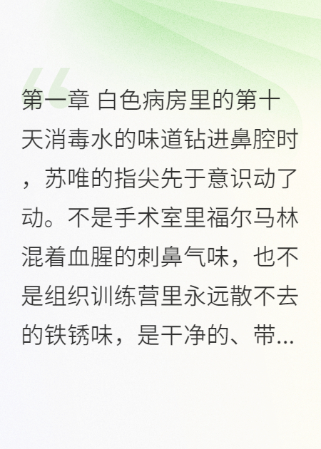 烬色重生：唯刃破暗