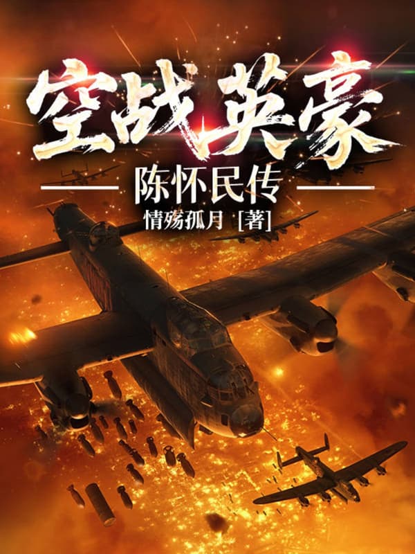 空战英豪：陈怀民传