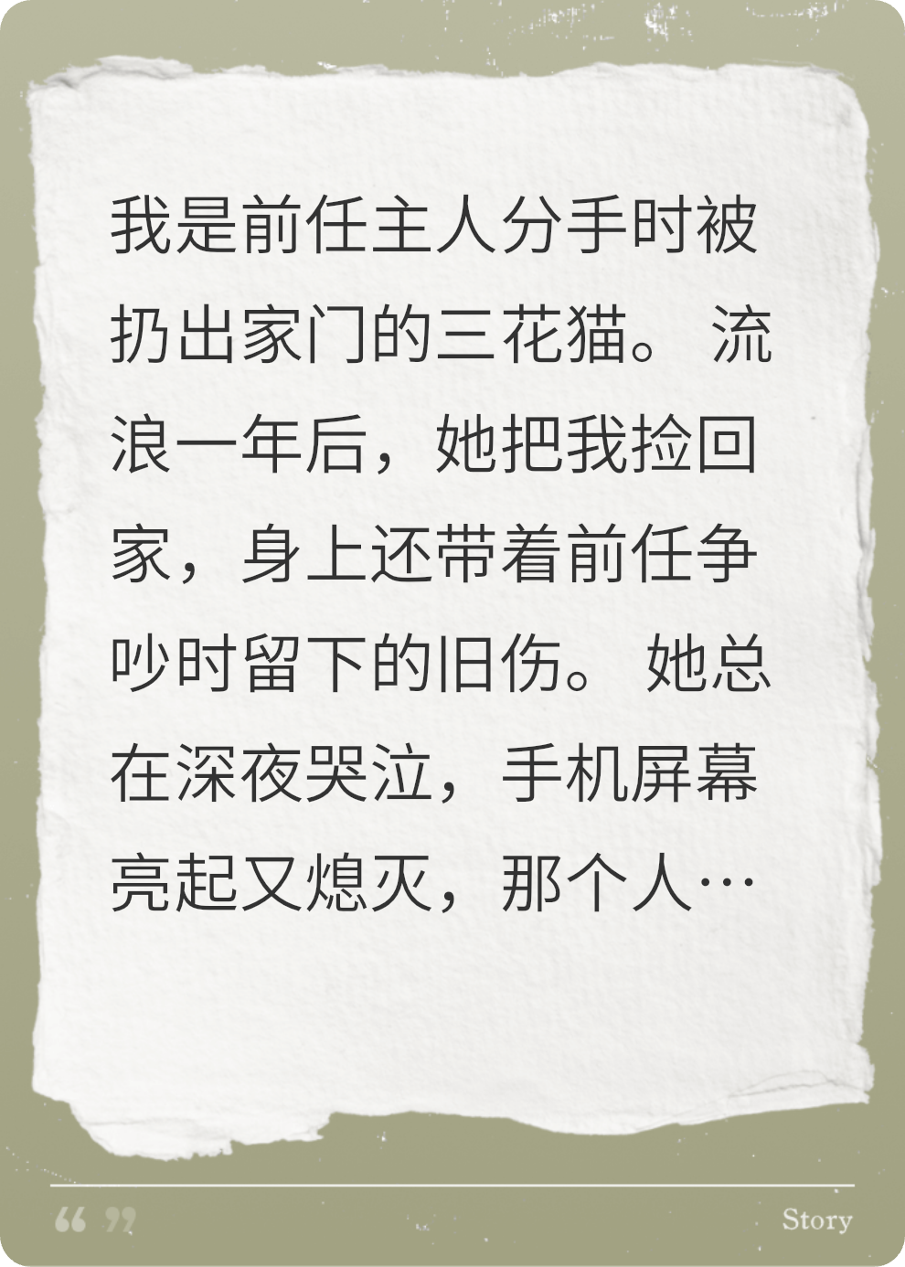 一只小猫咪的平静生活