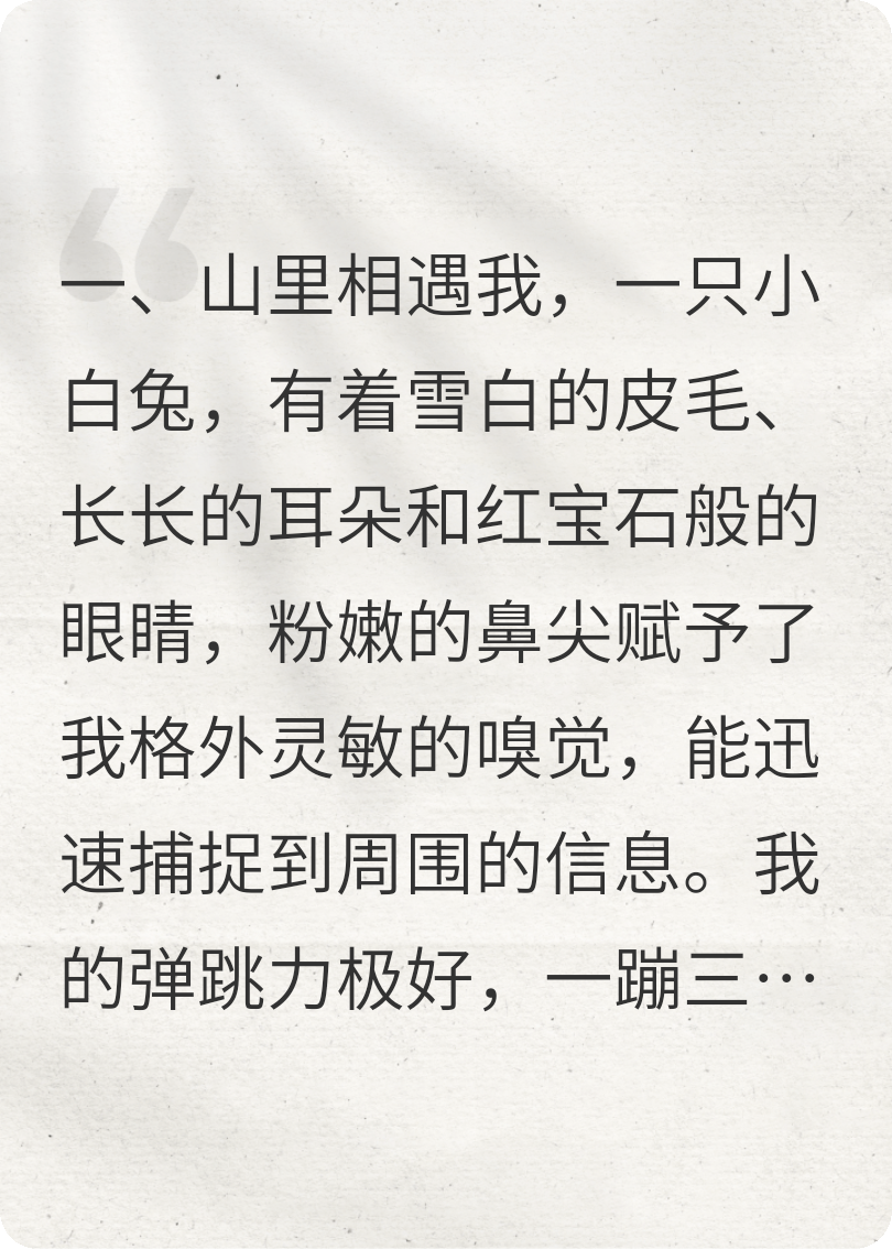 化形兔子爱上我
