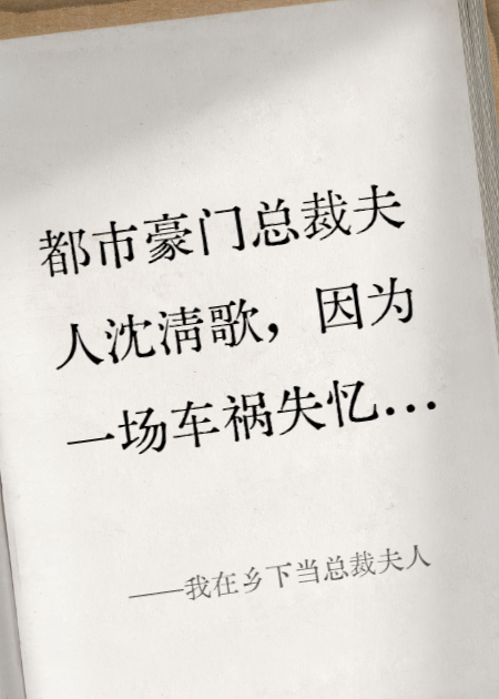 我在乡下当总裁夫人