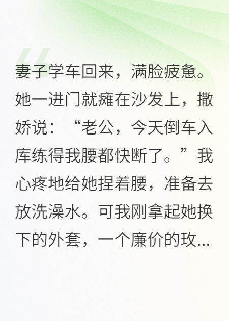妻子学车后，我杀疯了