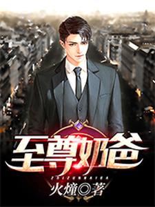 至尊奶爸