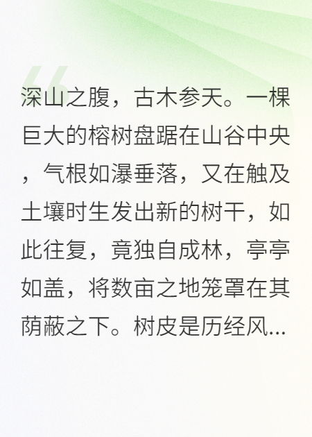 千年树下