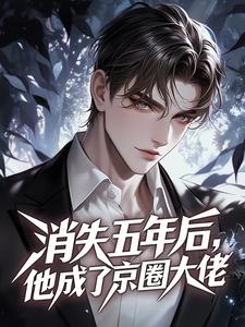 消失五年后，他成了京圈大佬​​