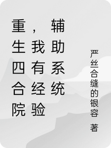 重生四合院，我有经验辅助系统