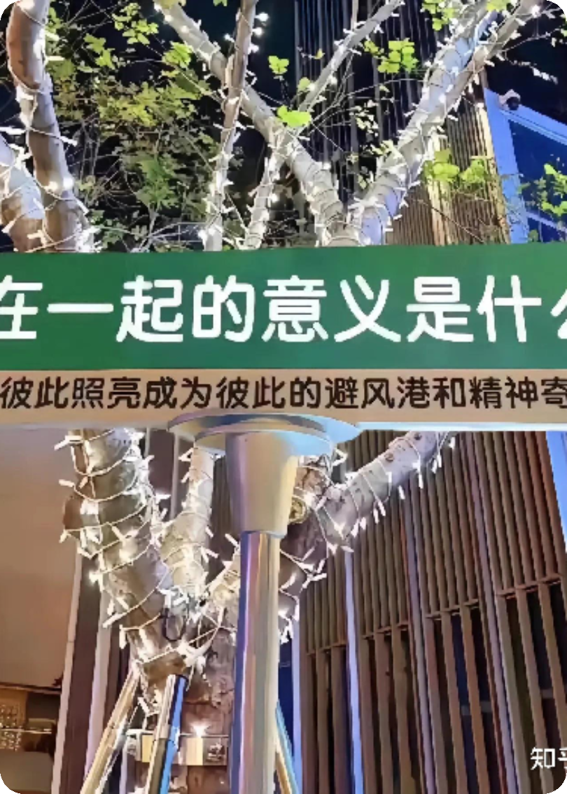 战胜自律难题：开启自我掌控之旅