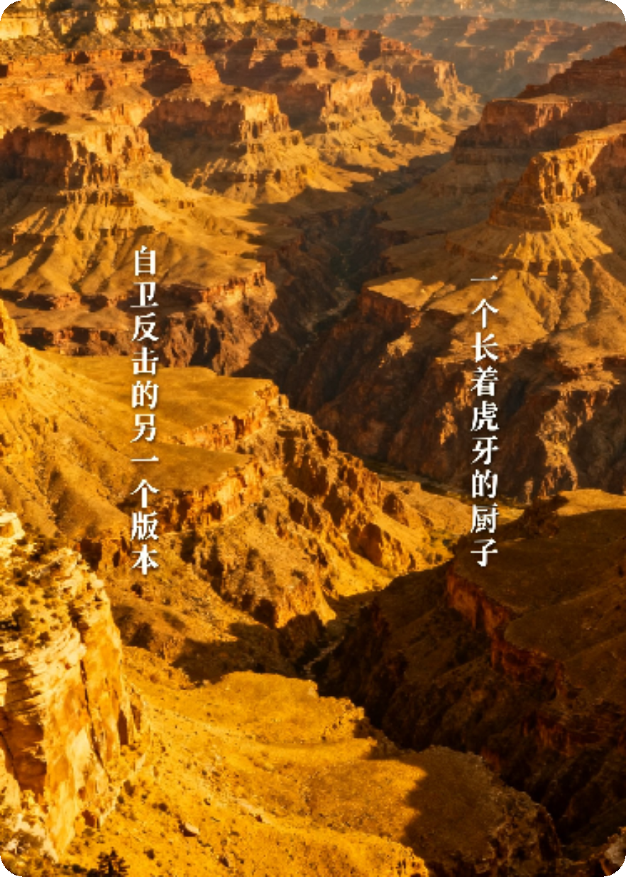 自卫反击的另一个版本之有理有节