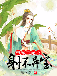 带球王妃之身怀异宝