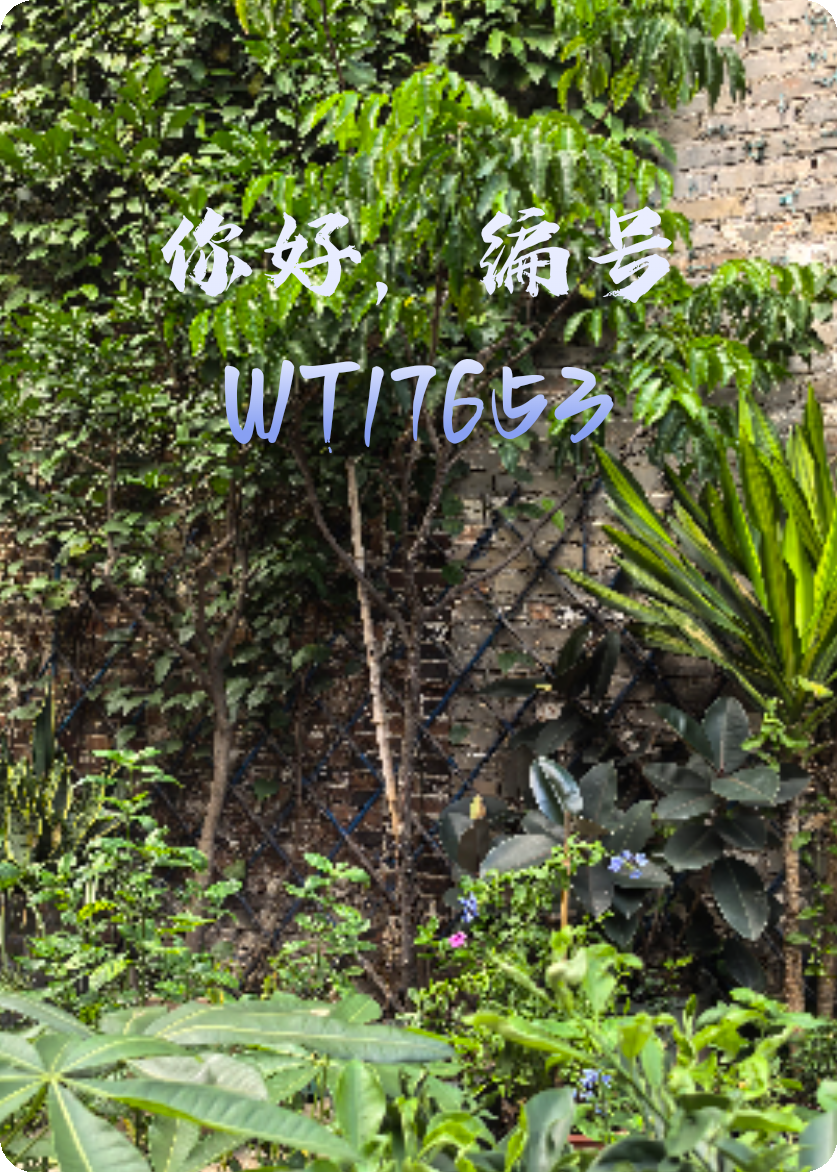 你好，编号WT17653