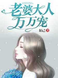 老婆大人万万宠