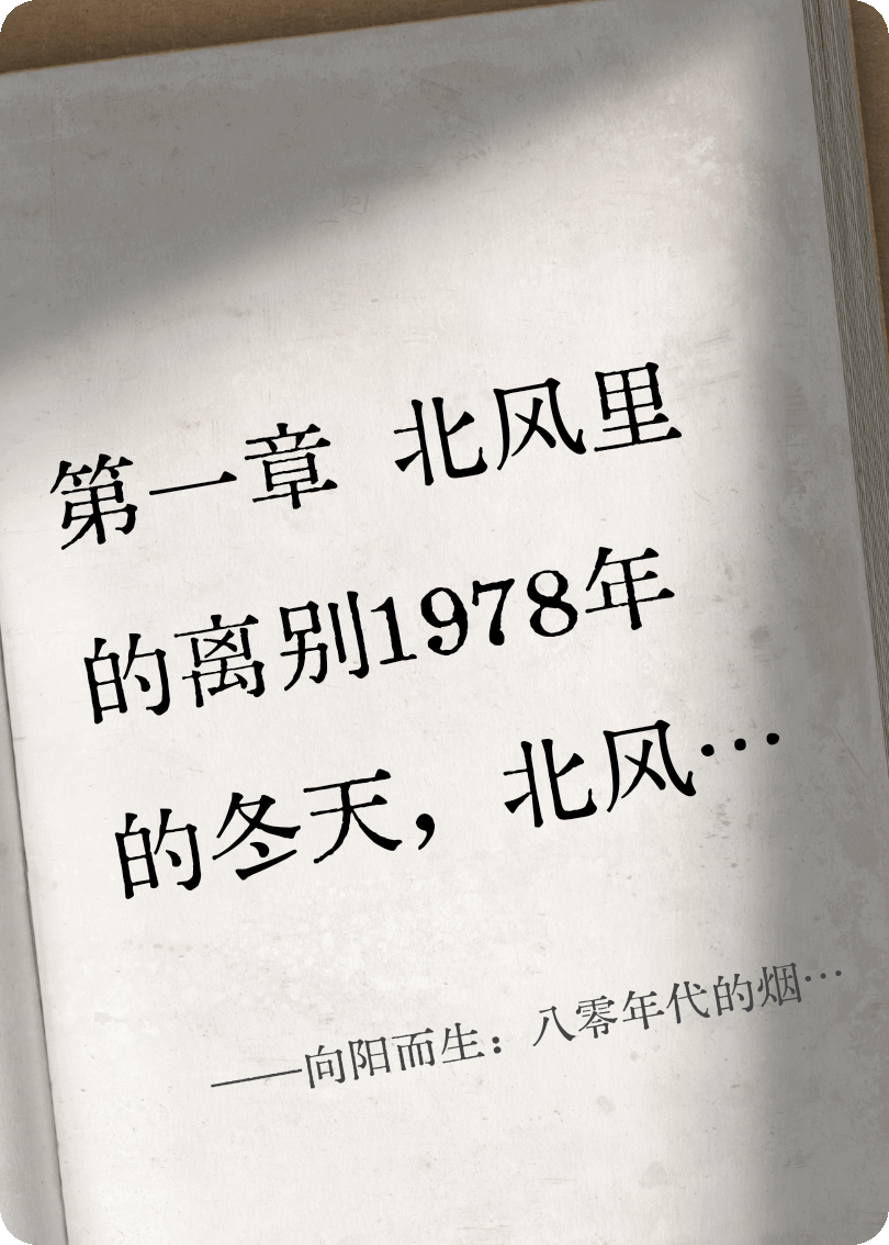 向阳而生：八零年代的烟火与征程