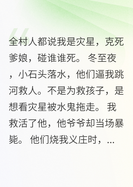 被全村当灾星烧死那夜，我的功过格显圣了！