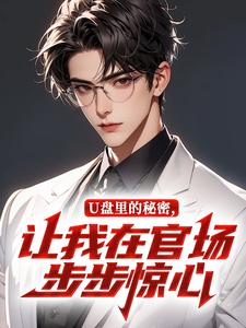 U盘里的秘密，让我在官场步步惊心