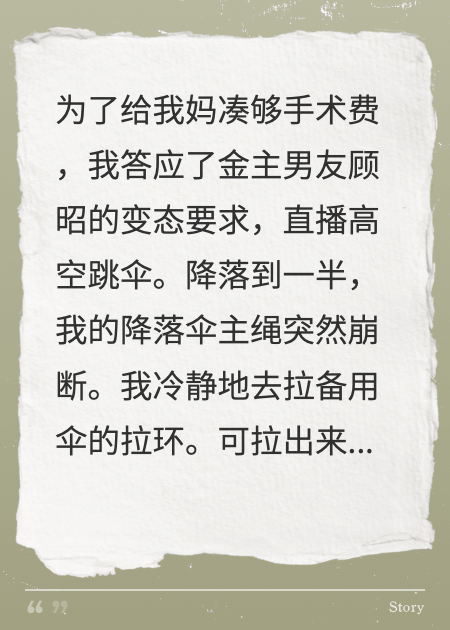 玫瑰坠落时我重生了