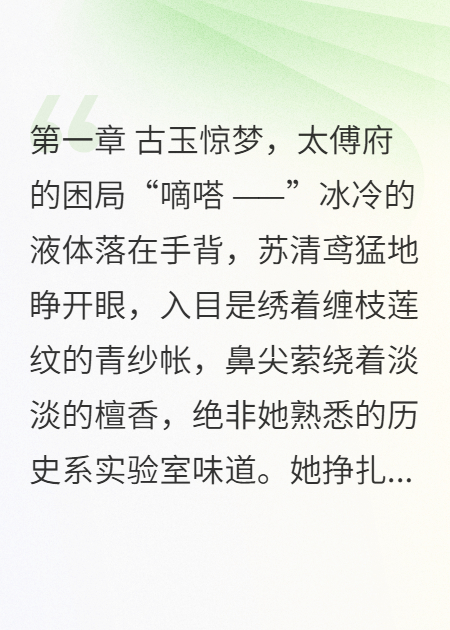 玉簪辞：靖朝双璧与穿越女官