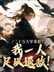 三十万大军来犯？我一人足以退敌！