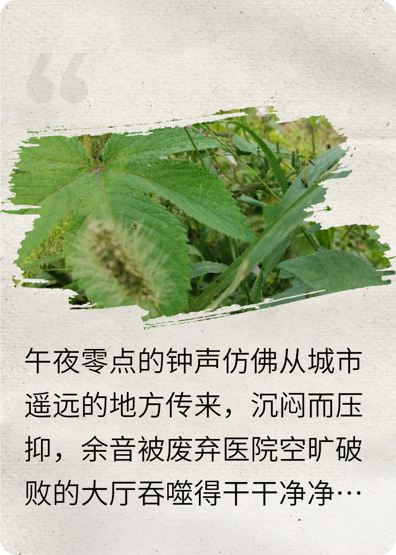 他用我的命换打赏，午夜打印机泣血索魂
