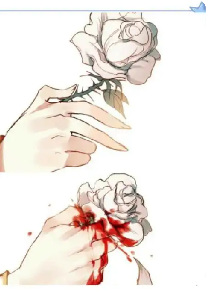宿命之殇：此生无须言爱